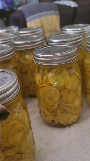homemade pickled squash.