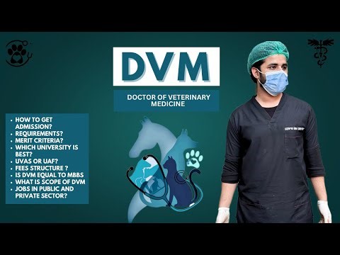 DVM(Doctor of Veterinary Medicine) Admission Guideline.What is DVM?UAF or UVAS? Merit?Fee?Scope?