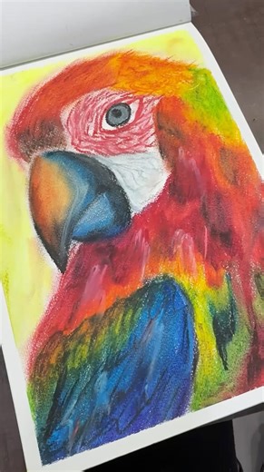 Easy Abstract Art - Parrot Drawing #easydrawing #abstractart #oilpastel #parrot #drawing #beginners