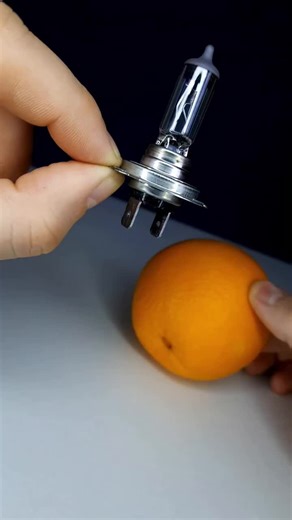 Do you know that lemon can act like a chemical battery to produce sustainable light source #lemon #battery #electricity