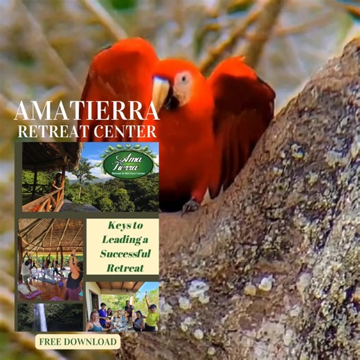 You already inspire on the mat—now learn how to host your own retreat in Costa Rica! Ama Tierra’s Starter Kit shows you: - What to include in your retreat - How to price it right - Best marketing practices that fill spots fast Plus, gain exclusive access to apply and potentially lead in person! | Amatierra Retreat Center