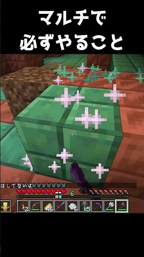 マルチプレイでチャンバー行くとき必ずやる行動がこれ #java版 #マイクラ #サブ鯖 #マインクラフト #サーバー #minecraft #統合版