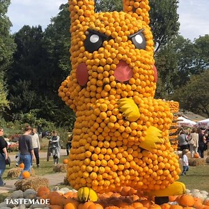 204K views · 1.2K reactions | Celebrate Halloween with the world's largest pumpkin festival! | Tastemade Travel | Facebook