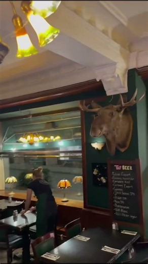 This is What a Real Irish Pub Looks Like 🍺