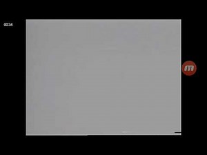 White Screen of Death at the End of Charlotte's Web 1993 VHS [True HQ]