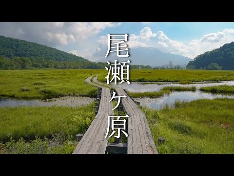 【尾瀬】尾瀬ヶ原｜初心者向けハイキングコースをのんびり歩く