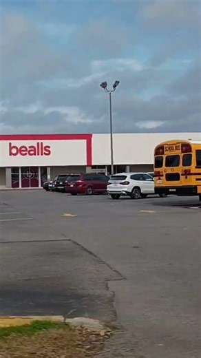 2018 Bluebird Vision Bus 13