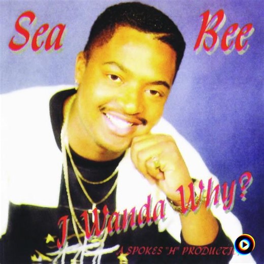 Home Boy by Sea Bee