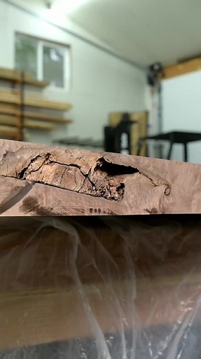 Blacktail Studio on Reels