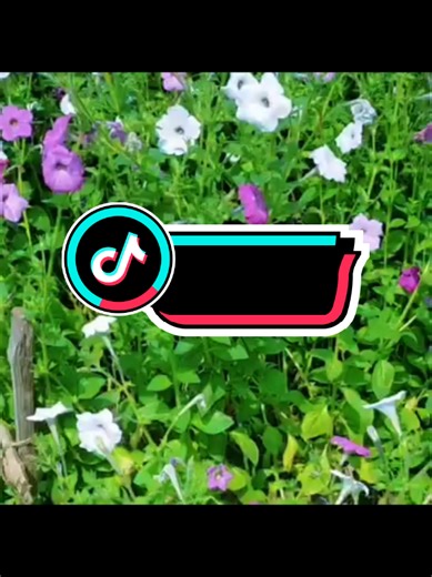 Enhance Your Videos with Green Screen Effects