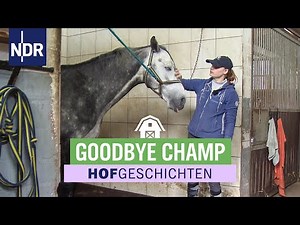 Dreschen der Wintergerste | Hofgeschichten: Leben auf dem Land (291) | NDR