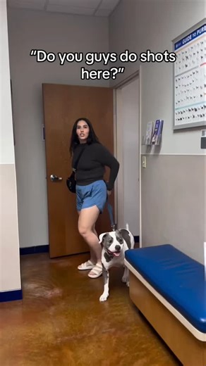 MaryAI - For Vet Clinics | Running a veterinary clinic is not just about treating pets — it’s about managing time, patient records, appointments, and client... | Instagram