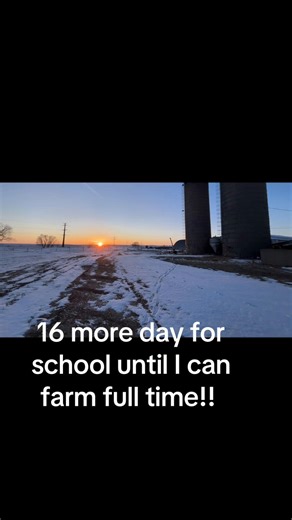 Countdown to Full-Time Farming: Just 16 Days Left!