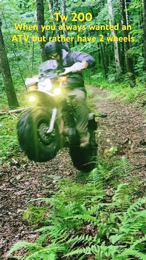 Tw 200 in the woods #motovlog #tw200 #dirtbike #atv #offroad #trendingshorts #coolride