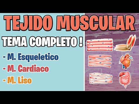 MUSCLE TISSUE HISTOLOGY | SKELETAL, CARDIAC, AND SMOOTH MUSCLE