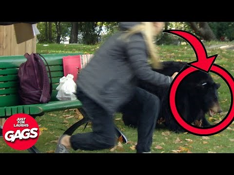 Best Of Wildlife Pranks | Just For Laughs Gags