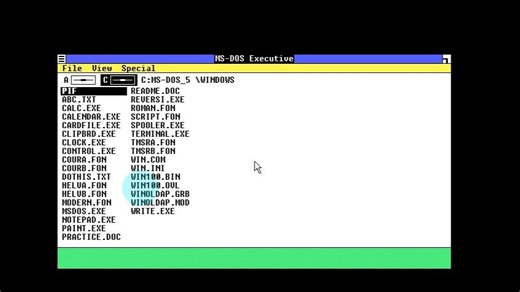 Windows1.01安装教程