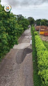 7.1K views · 125 reactions | ¡MAQUINARIA AMARILLA QUE IMPULSA...