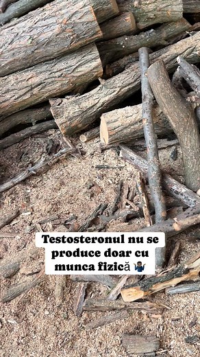 Testosteronul nu este creat doar prin muncă, ci printr-un echilibru complex între corp, nutriție și stare mentală iar formarea sa optimă necesită ca organismului să fie susținut pentru a permite voinței sau vitalității să se manifeste. Testosteronul este sintetizat din colesterol. Deși este un termen negativ în dieta modernă, organismul are nevoie de grăsimi sănătoase de calitate (nu grăsimi trans sau hidrogenate) pentru a produce toți hormonii steroizi. Găsim aceste grăsimi în avocado, ulei de 