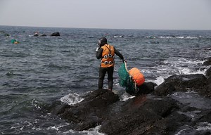Soft Corals Are Dying Around Jeju Island, a Biosphere Reserve That’s Home to a South Korean Navy Base - Inside Climate News