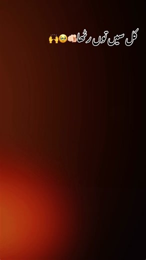 Pothwari Sher Status Video - Viral 100k Views