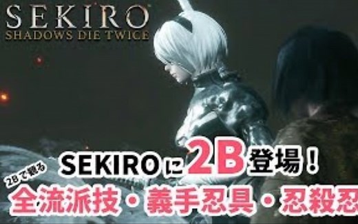 【只狼】2B小姐姐mod，附完整教程与网盘链接！！！