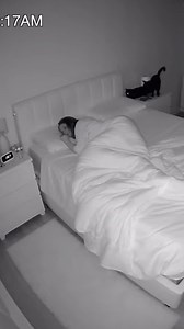 Infrared CAT ATTACK! 😱 Caught on Security Camera at 3:17 AM | Reginald Heath