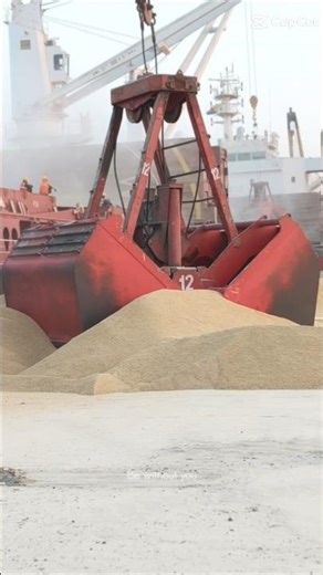 Bulk Cargo loading 🛳️⚓#viral #viralvideo #ship #video