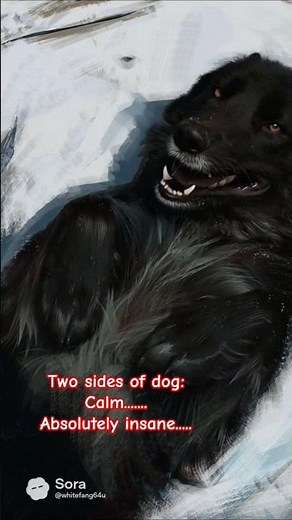 Calm Adorable Doggo And Crazy Doggo #dog #memes #shorts