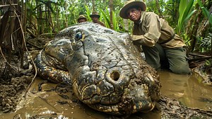 328K views · 7.1K reactions | Mysterious Titanoboa Sightings From South America That Scientists Can't Explain #titanoboa #snake | Most Amazing Top 10 | Facebook