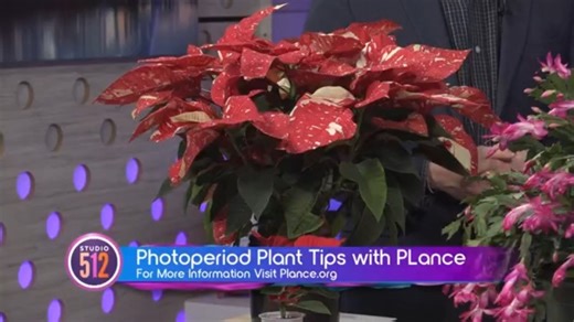 Understanding Photoperiod: How Light Affects Plant Growth with PLance