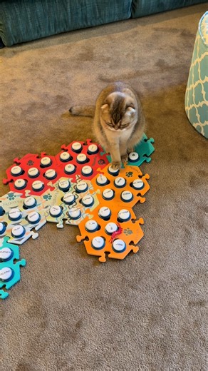 It's safe to say that everyone loves @puffindoestricks - however, that love does not stop Puffin from having an attitude 🤣 #fluentpet Want to have a moment like this? Shop button boards at https://fluent.pet/ | FluentPet