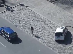 Strassenstrich Berlin