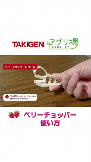 イチゴ狩り専用ハサミ【ベリーチョッパー】の使い方｜TAKIGEN｜アグリ場