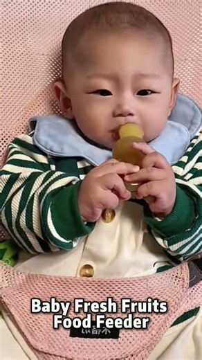 The Perfect Fruit Feeder for Your Baby to Enjoy Healthy Snack Time!#babyfeeding