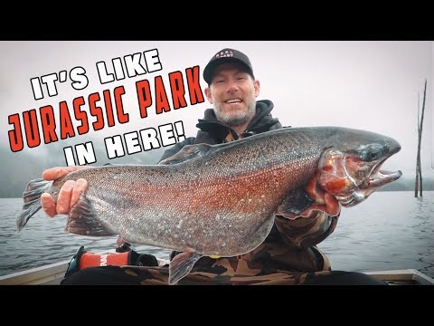 Enter HOG Country | The MONSTER Trout of BC