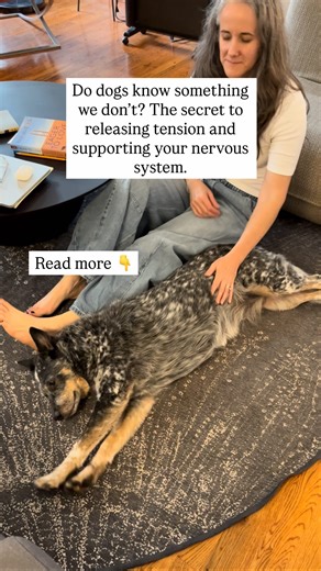 Rebecca Trussell | Somatic Experiencing | Mind-Body Therapist on Instagram: "✨All animals do this; the secret is to contract muscle groups and slowly release the tension. ✨Thomas Hanna, the founder of clinical somatics, called this “pandiculation”. ✨This action of contraction and slow release is a form of neuromuscular communication and over time re-educates your brain to release patterns of tension in your muscles and allow them to relax. ✨And a relaxed muscle sends a signal to your nervous sys