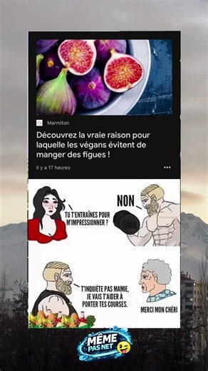 MEMEPASNET — 1 meme = 1 sourire, abonne-toi