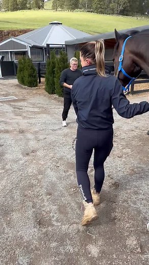 Wishing my student Jasmine Haynes, with her two beautiful horses, Fan Fan and Fleur all the very best for their exciting next chapter. Jasmine and her horses will be based at Kasselmans stable in Germany and then travel to Wellington to train and compete. A wonderful opportunity and I am excited to follow their progress. Good luck and safe travels Jazzy, Fan and Fleur. We will miss you. 🍀🍀🍀🇦🇺🇦🇺🇦🇺#maryhannadressage #happyathlete #4cyte #eloquenceequestrian #dressagegoals #twohearts | Mar