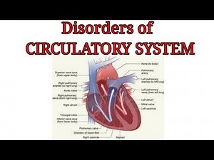 Disorders of Circulatory system: various diseases and their properties