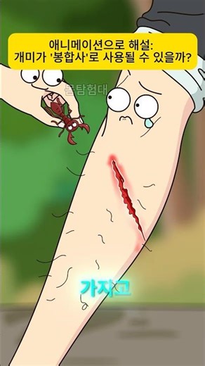 애니메이션으로 해설: 개미가 '봉합사'로 사용될 수 있을까?#shorts