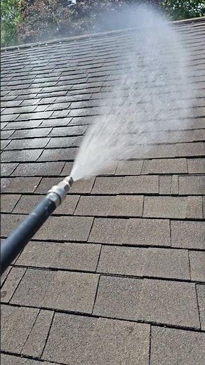 Roof Cleaning Fort Wayne IN | Soft Wash Removes Black Algae Streaks