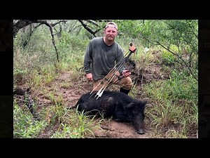 Hog down with Elkhart magnum!