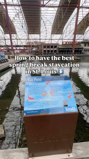 Spring Break Staycation St. Louis Union Station #stl #staycation