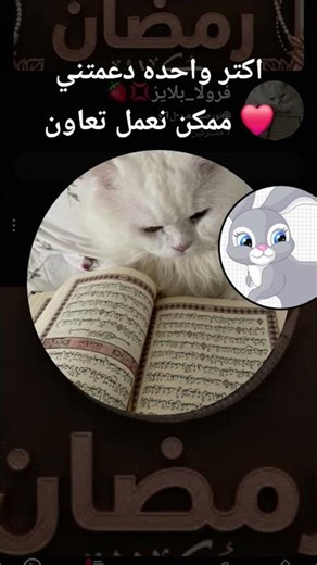 ٢ مارس ٢٠٢٦