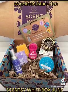 SCENTSY WHIFF BOX JUNE 2023 ❤️ Cheetah Print Mini Fan Diffuser-...