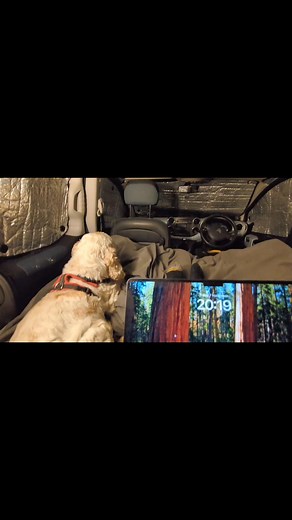 Rough plans | Murray Cocker Spaniel - Dog Adventures