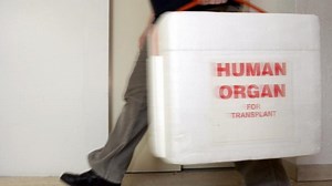 Reform der Organspende: Die wichtigsten Antworten