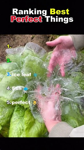 Ranking the Most Perfect Things Ever 🤯🔥 | #1 Is Insane! #PerfectMoments #Satisfying #Ranking