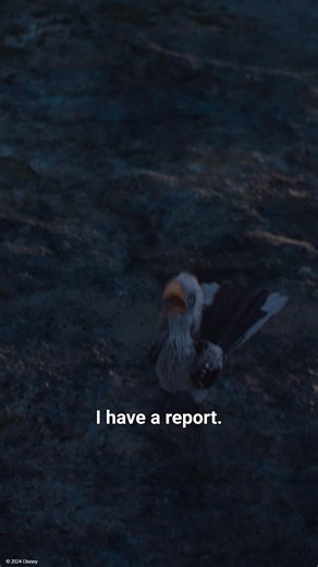 We have a report. It's Zazu. End of report. #Mufasa: The Lion King in cinemas now. | Disney